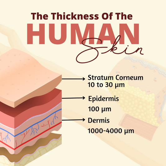 Science Behind Effective Skincare