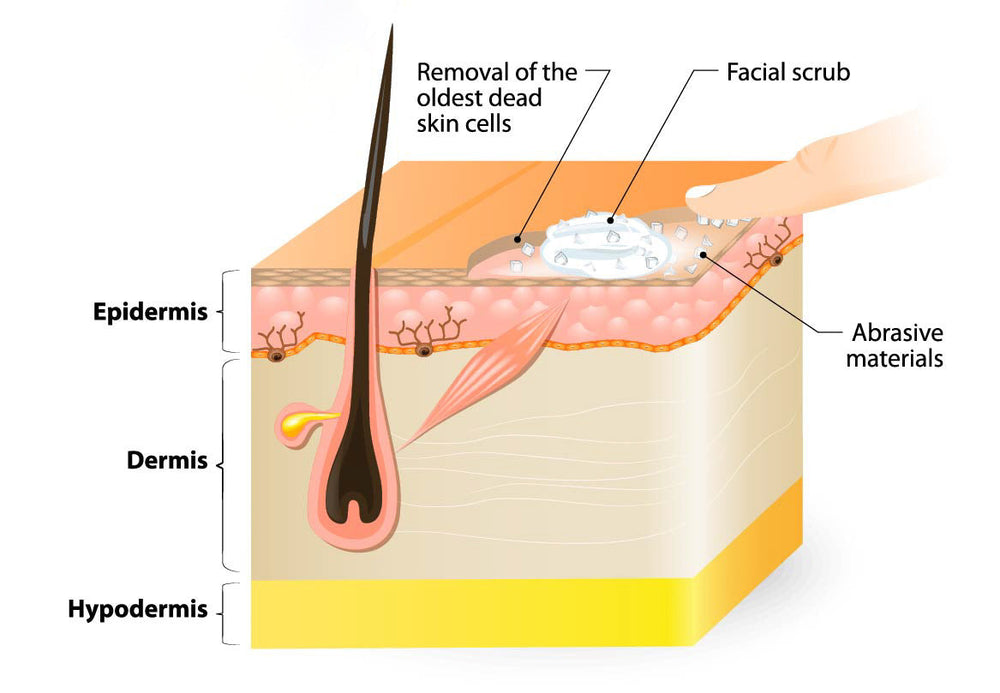 Skin Exfoliation
