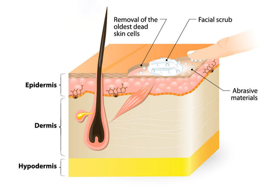 Skin Exfoliation