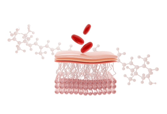 The Mighty King of Antioxidants