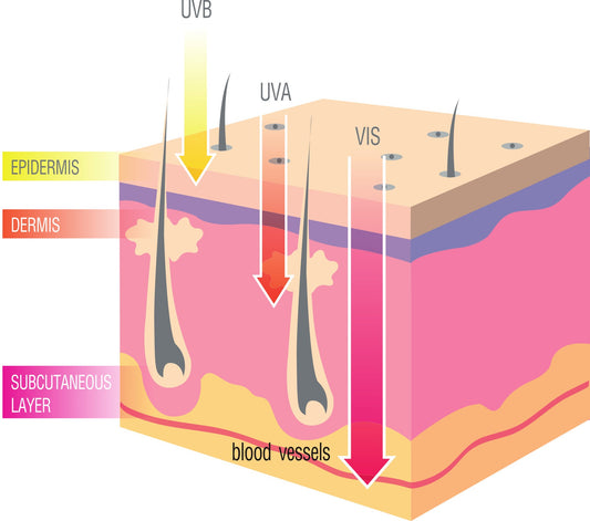 Let's Slip, Slop, Slap!