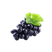 Resveratrol